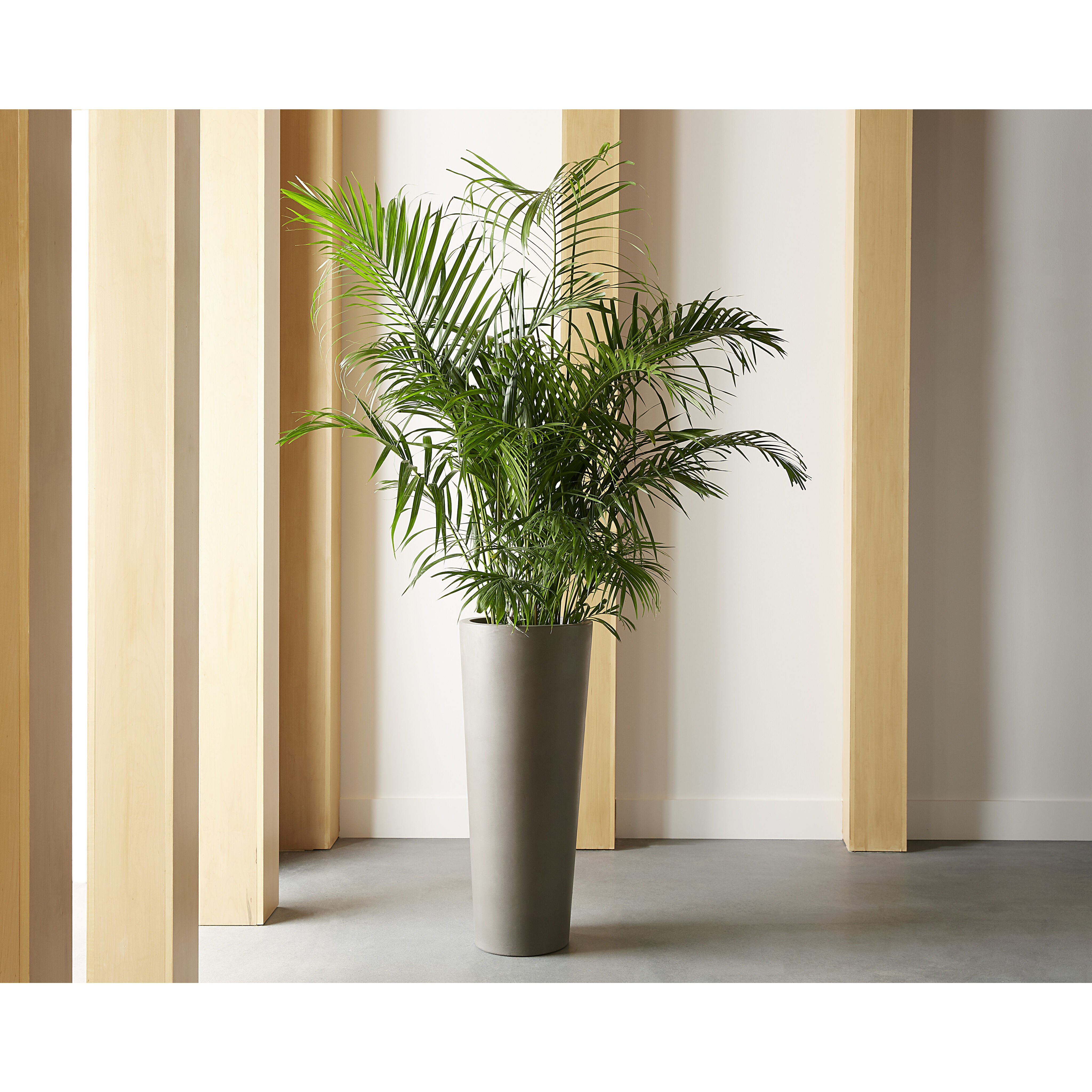 Arbor Dark Grey Outdoor Planter, Large